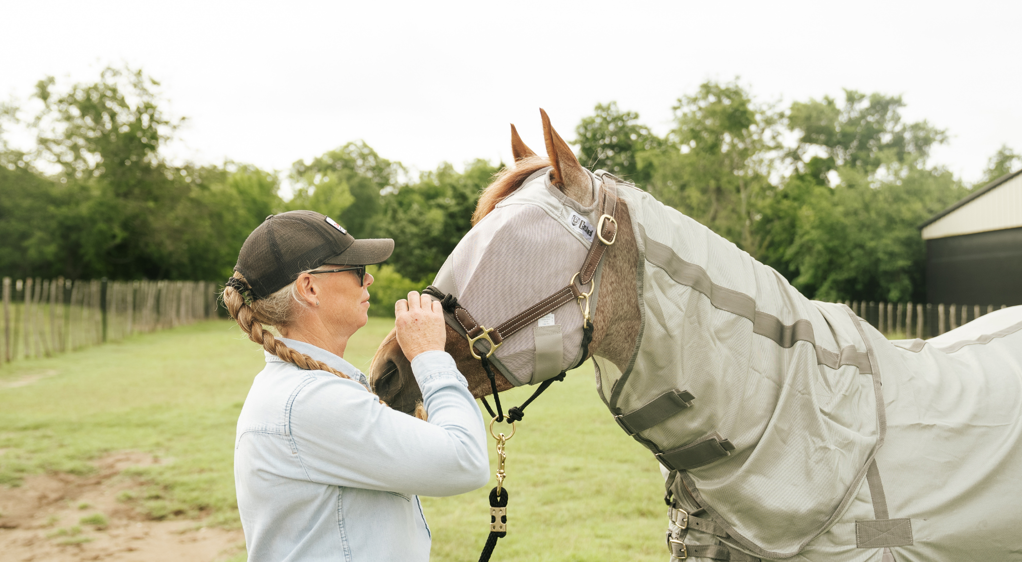 Horse owner fitting a Cashel fly mask and fly sheet on her horse in a pasture