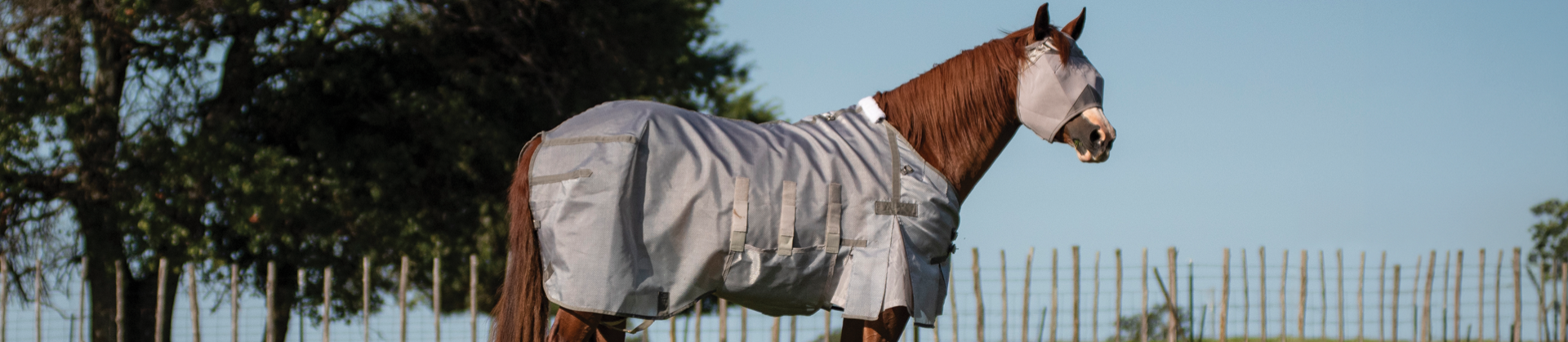A chestnut horse stands calmly in a pasture, wearing a full-coverage light gray fly sheet and a matching fly mask that covers its face and ears. The fly sheet features multiple belly straps, chest closures, and reinforced paneling, and extends from the horse's neck to its hindquarters. The fly mask covers the horse's eyes, forehead, and muzzle area, providing full facial protection. The horse is viewed in profile from the left side, its dark reddish-brown coat and flowing dark mane visible where the sheet and mask don't cover. In the background, a rustic wooden post fence runs horizontally across the frame, with lush green trees visible on the left and a clear blue sky filling the upper portion of the image. The serene outdoor setting suggests a warm-weather environment where fly and insect protection is essential for equine comfort.