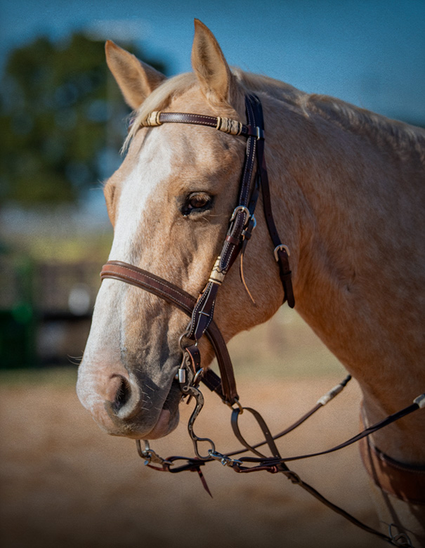 Headstalls