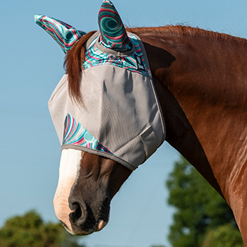 Fly Protection