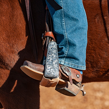 Saddle Accessories
