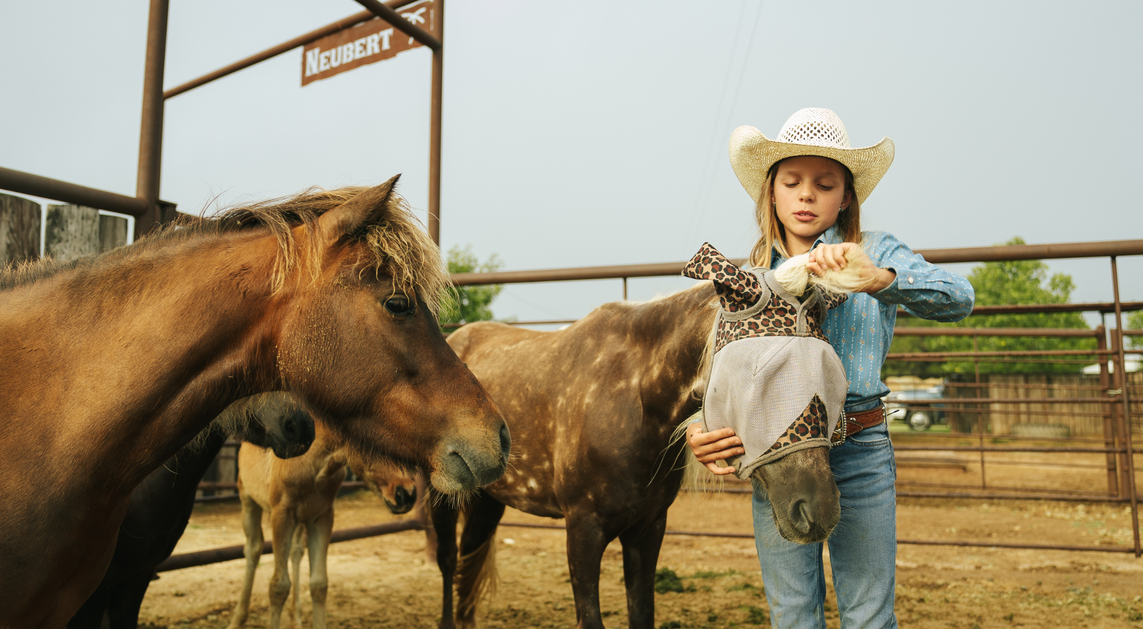 A young girl in a white cowboy hat and blue denim shirt carefully fits a leopard-print Cashel Crusader horse fly mask onto a dappled chestnut horse inside a ranch pen, demonstrating proper horse fly mask fit and application for summer fly season — protecting horses from biting insects, UV rays, and fly-related eye irritation.