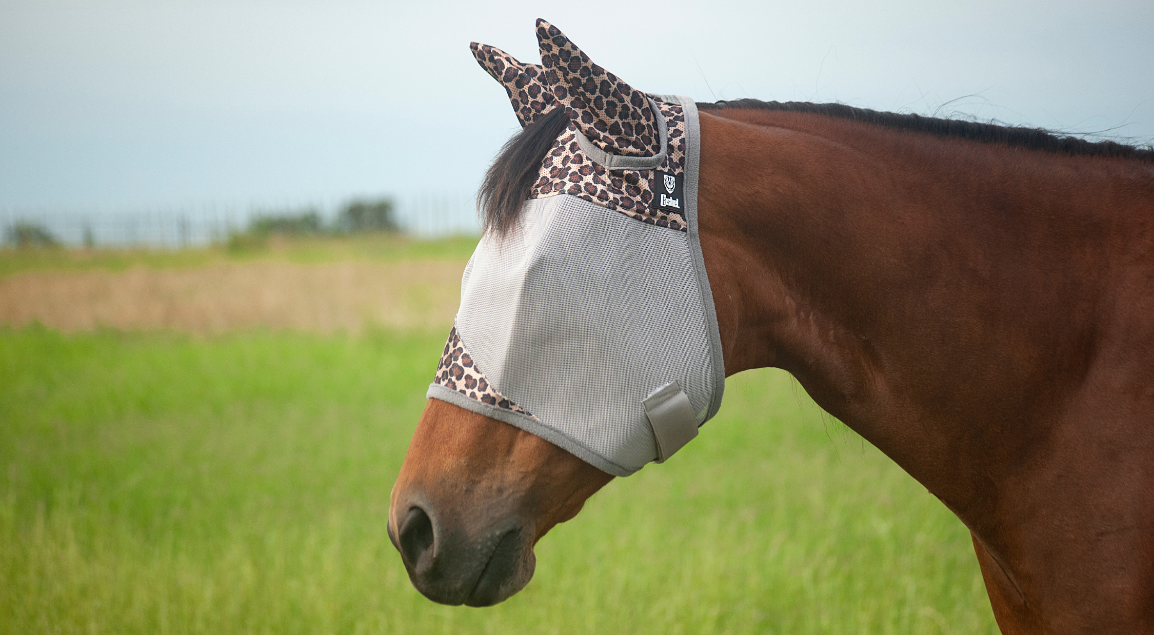 A bay horse wearing a leopard-print Cashel Crusader fly mask with ears stands in a green pasture, showing the full ear coverage design that protects horses from gnats, biting flies, and ticks during turnout.