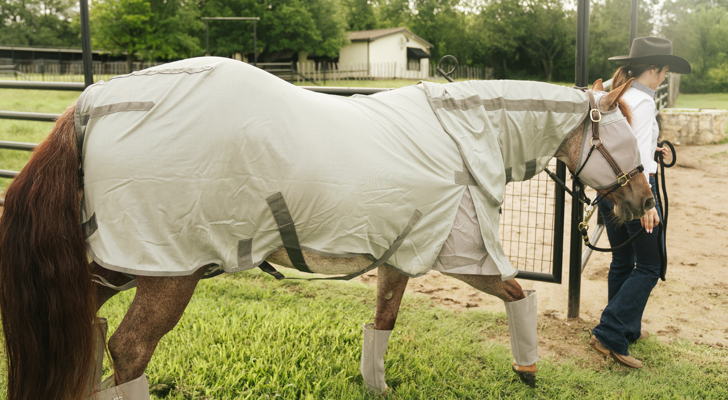Fly Control Is More Important Than Ever Before