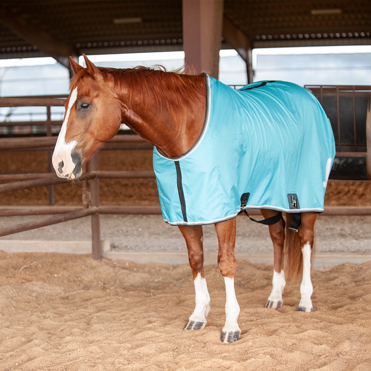 Coupe-vent Classic Equine CXS Petit - Bleu, étanche, Réfléchissant (neuf, Sachet Ouvert)