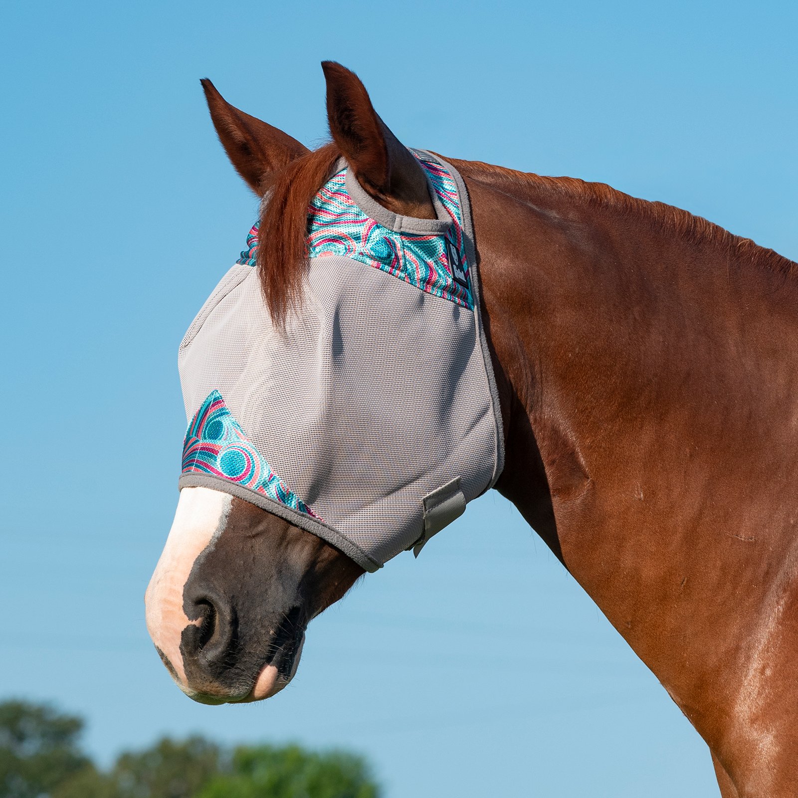 Cashel Crusader Blue UV Protection Fly Mask For Horses – Benefits Wounded Warriors