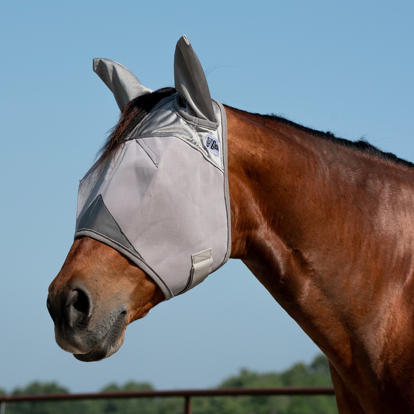 Cashel Crusader Fly Mask – Standard with Ears - Big Black Horse, LLC