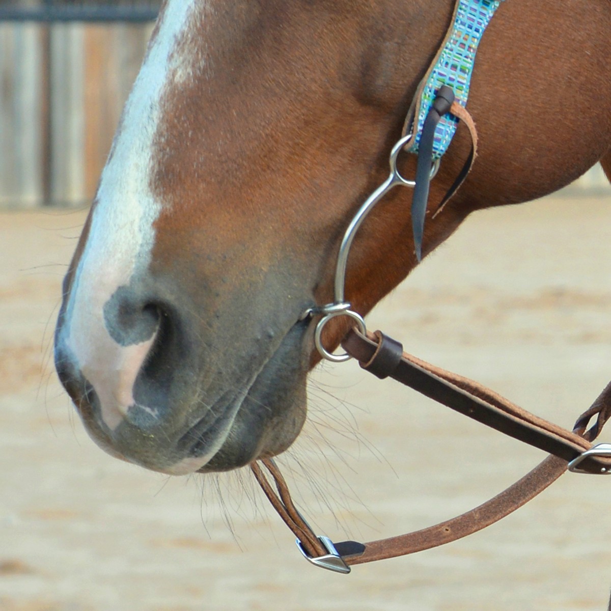 Classic Equine Carol Goostree Simplicity Shank Barrel Bit - Thumbnail 3