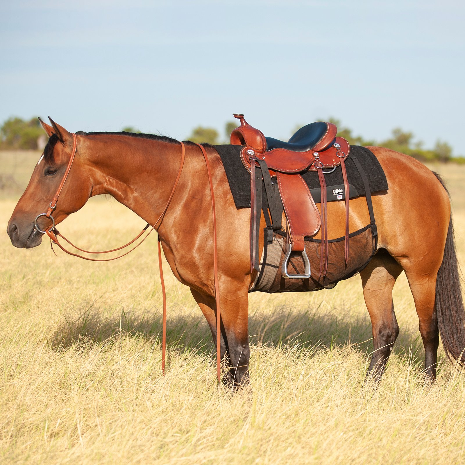 Protège-ventre Cheval Cashel – Anti-mouches, Noir, Taille Grand 82-84, Neuf