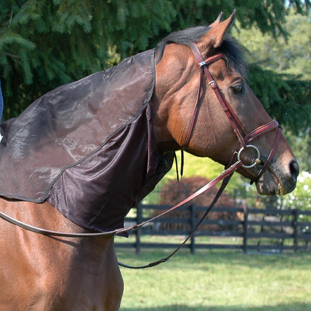 Cashel Quiet Ride Mule Masque anti-mouches avec long nez et oreilles Noir