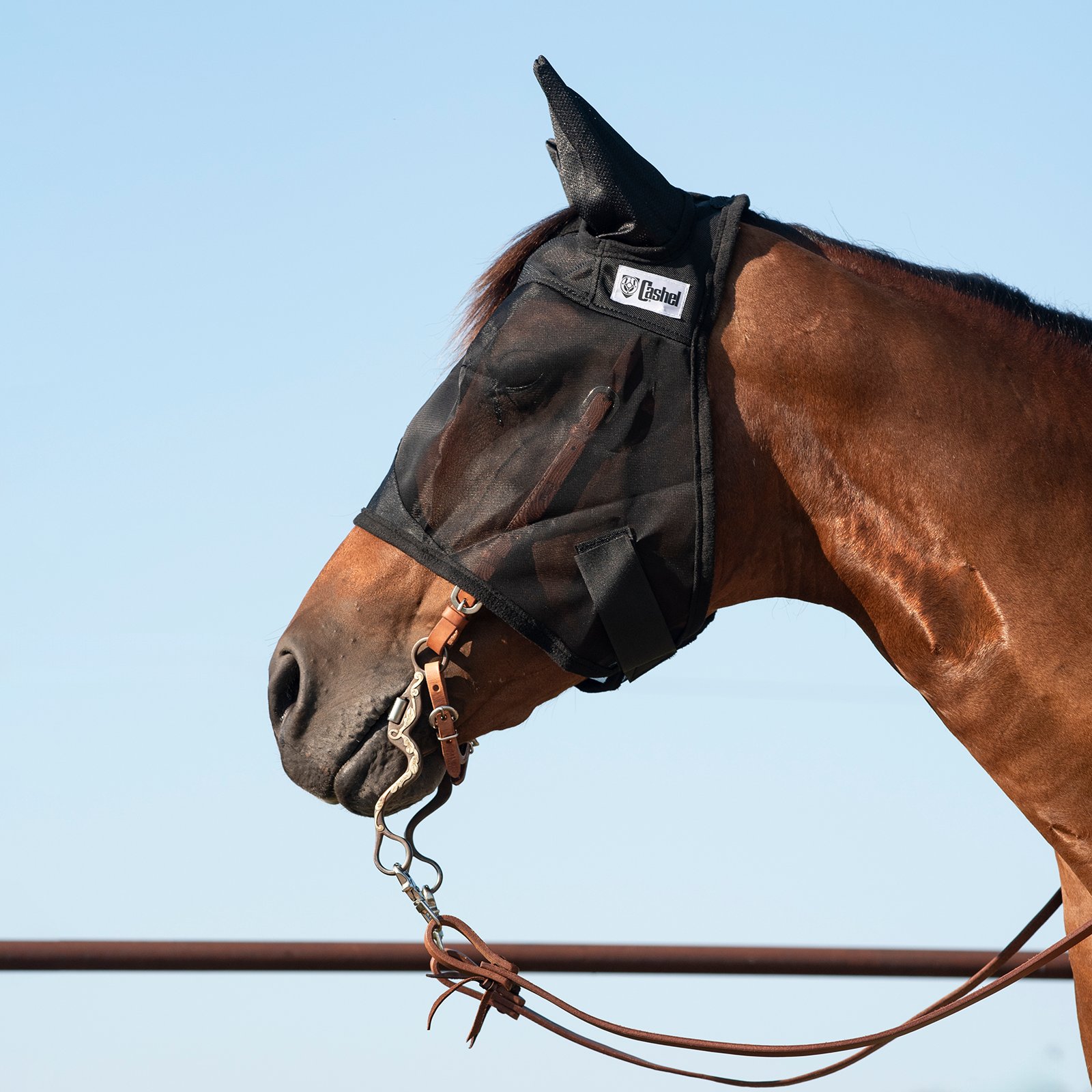Masque Anti Mouches Cashel Quiet Ride Warmblood Large CASHEL