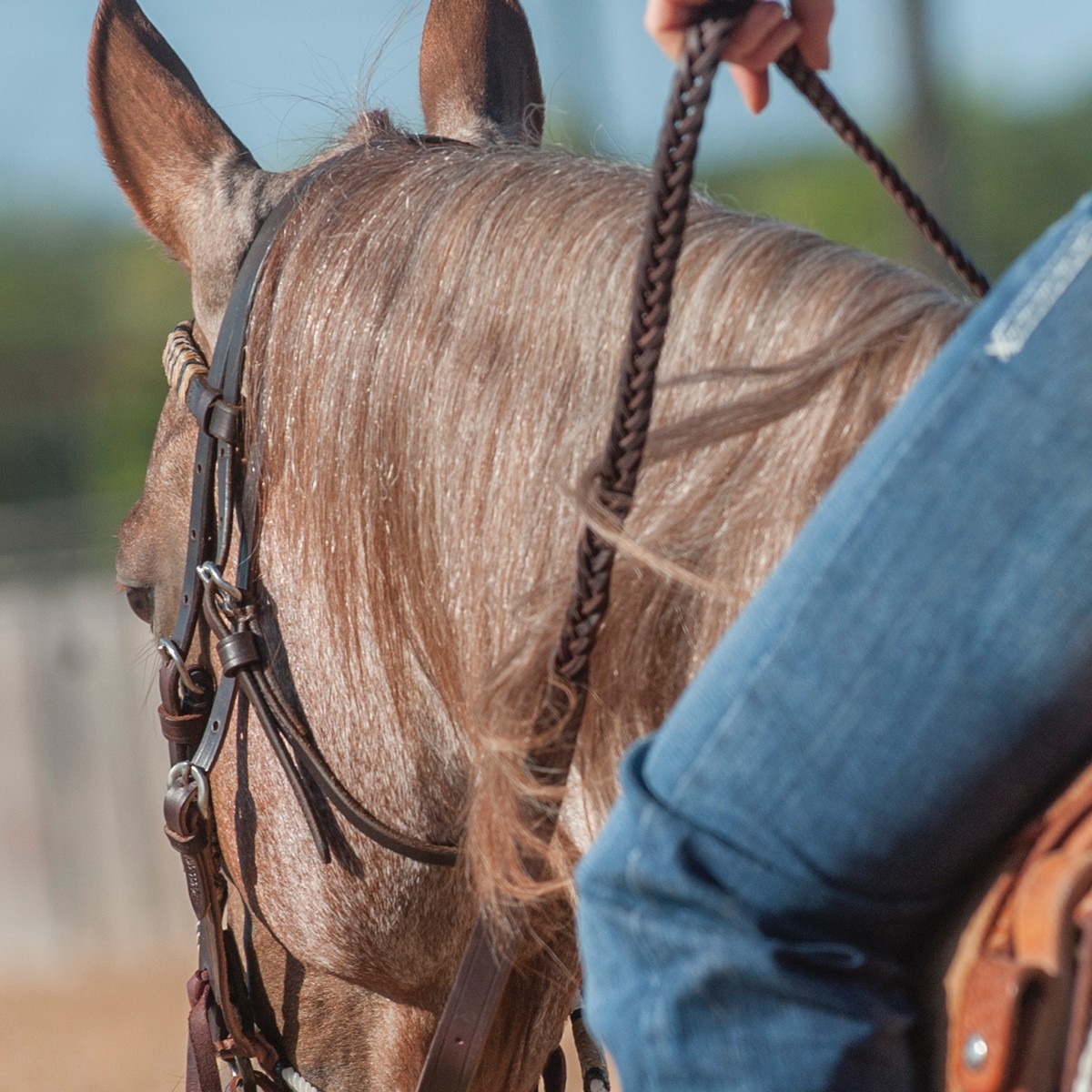 Martin Saddlery Latigo Roping Rein - Thumbnail 4