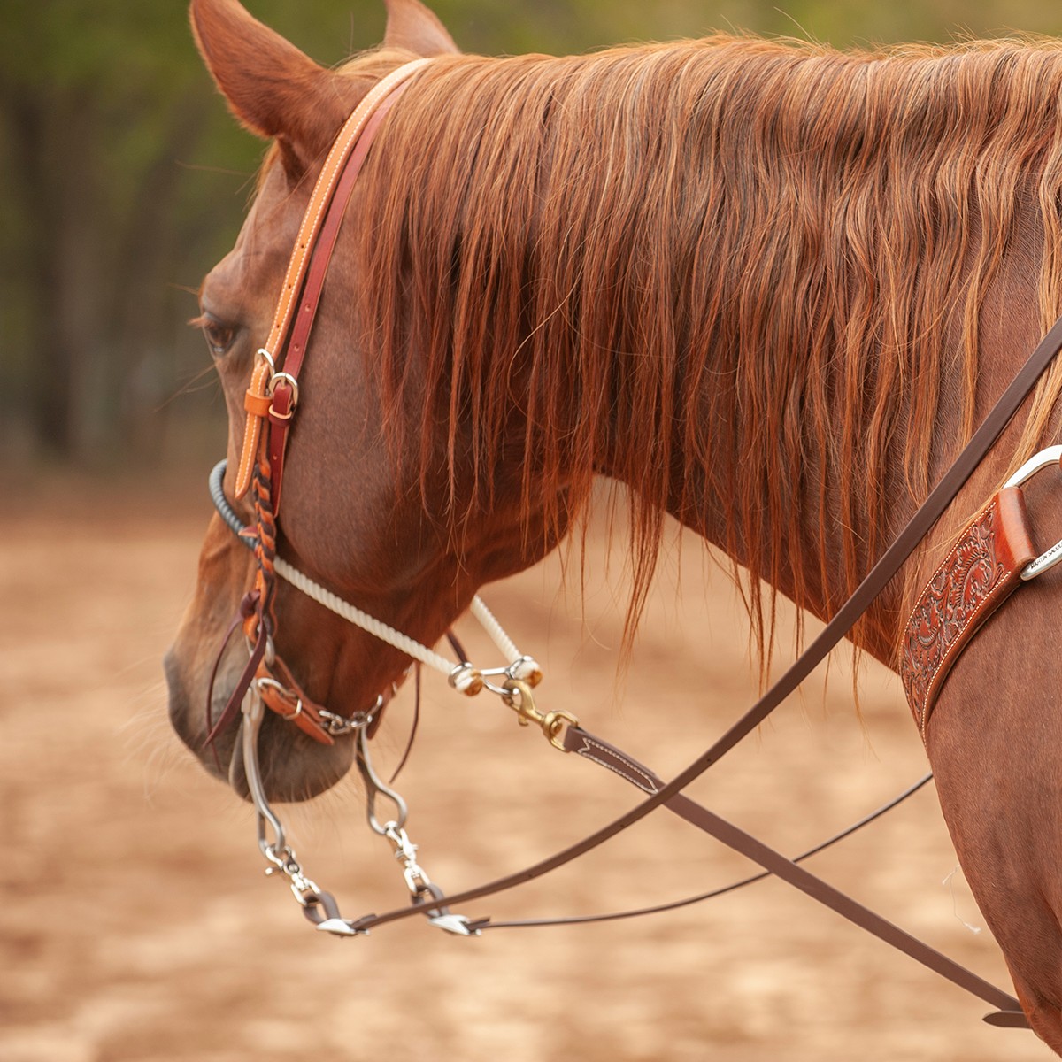 Martin Saddlery Biothane Roping Reins - Thumbnail 4