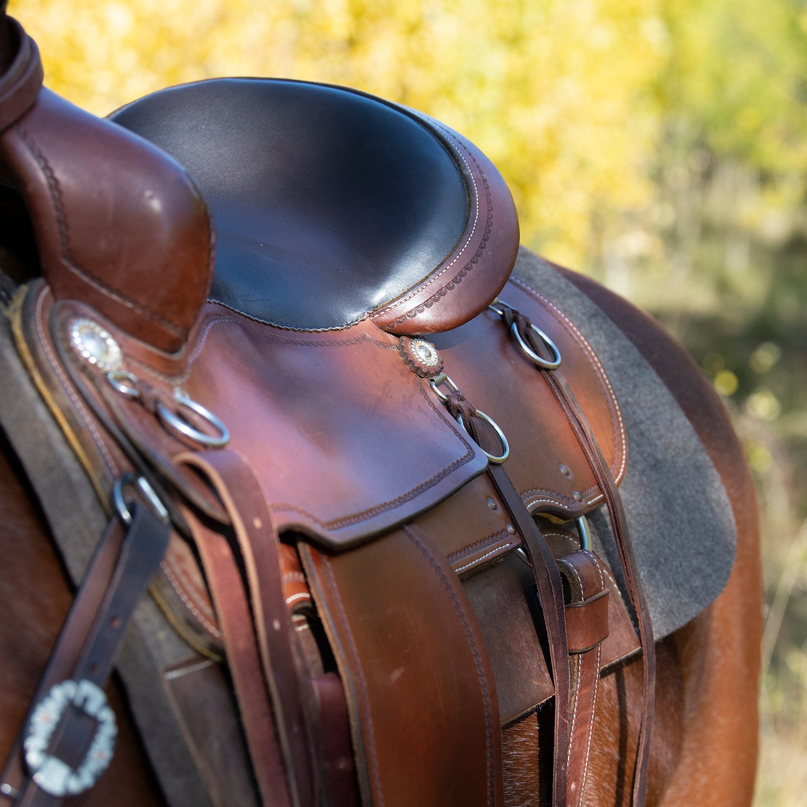 Cashel Trailblazer Saddle - Thumbnail 3