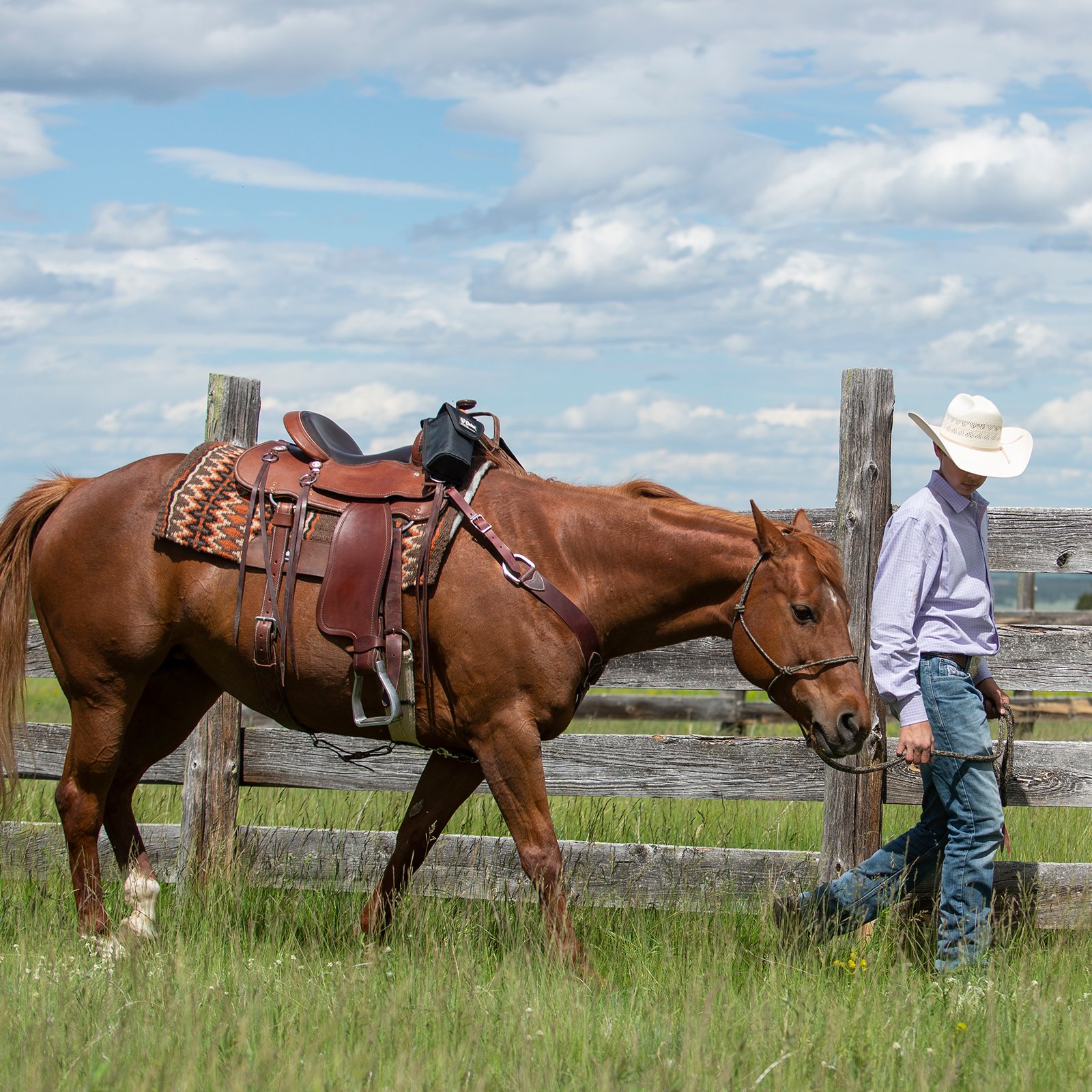 Cashel Trailblazer Saddle - Thumbnail 5