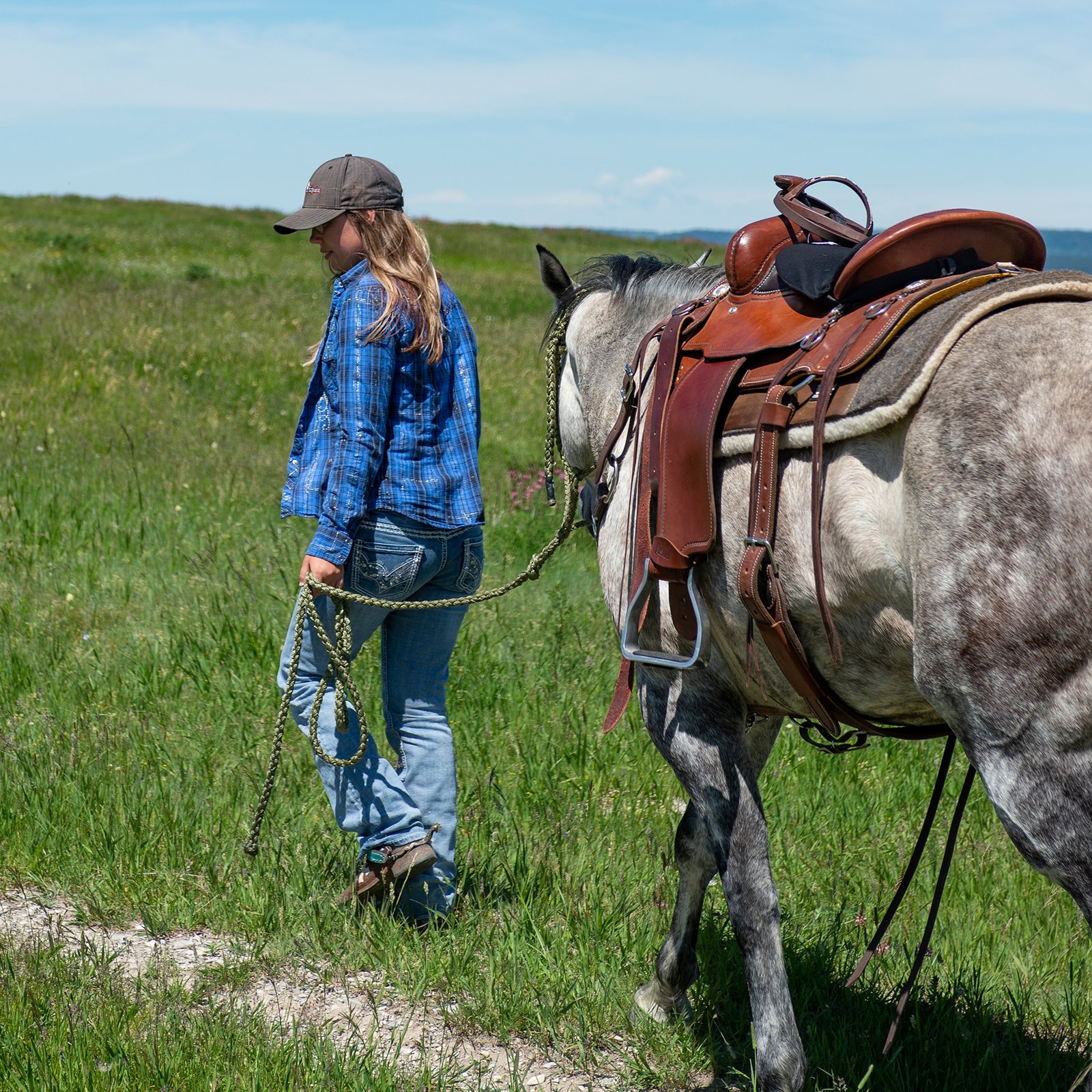 Cashel Trailblazer Saddle - Thumbnail 4