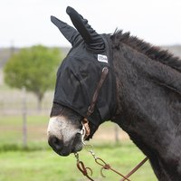 Masque Anti-mouches Cashel Quiet Ride - Pour Grand Cheval/draft